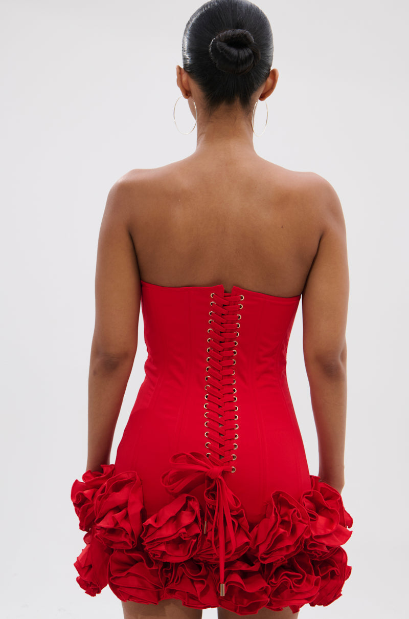 ROSES ARE RED CORSET MINI DRESS